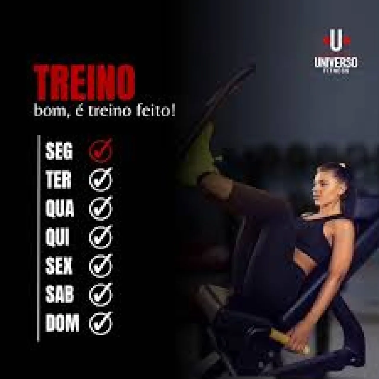 Importação Compartilhada: Vantagens e Desvantagens